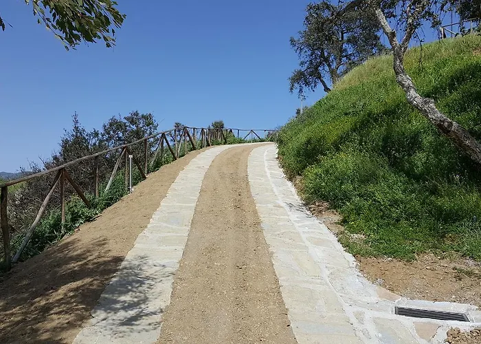 Mama Lina Patti