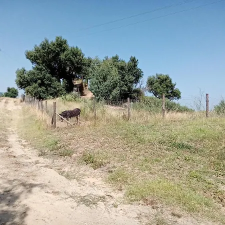 Mama Lina ファームステイ パッティ