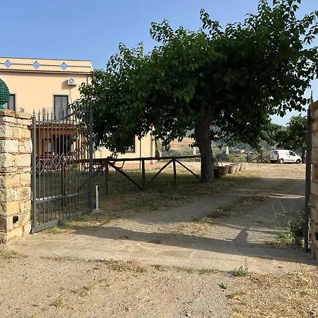 Mama Lina パッティ