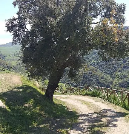 ファームステイ Mama Lina *