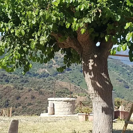 Mama Lina ファームステイ