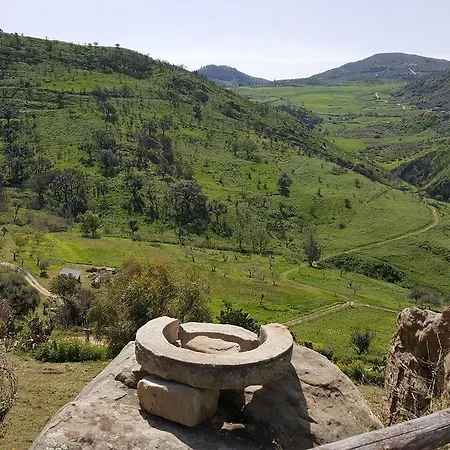 ファームステイ Mama Lina