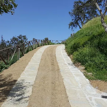 Mama Lina パッティ