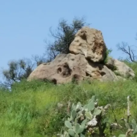 Mama Lina * パッティ