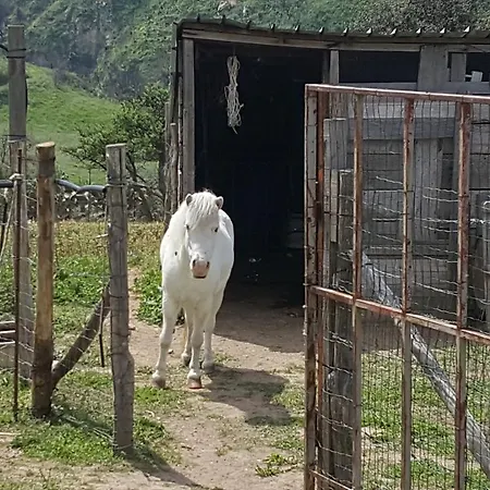 Mama Lina * パッティ